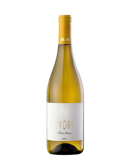 Spanischer Weißwein IVORI BLANC vom ALELLA VINÍCOLA