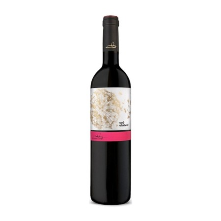 Spanischer Rotwein vom MAS BLANCH I JOVÉ aus KATALONIEN